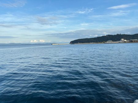 チャリコだらけ