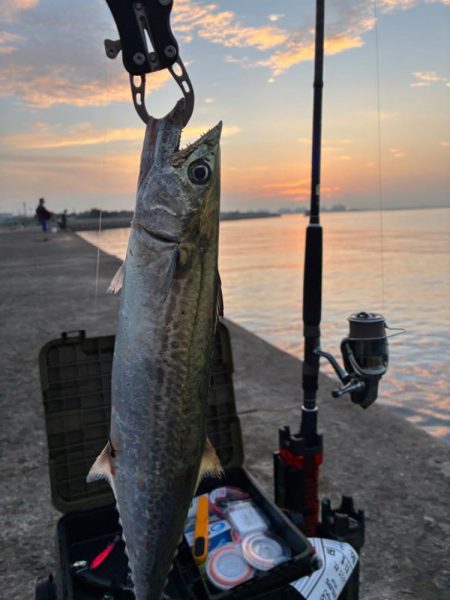 尻尾が付いた座布団でした・・・