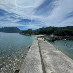 そこそこサイズ