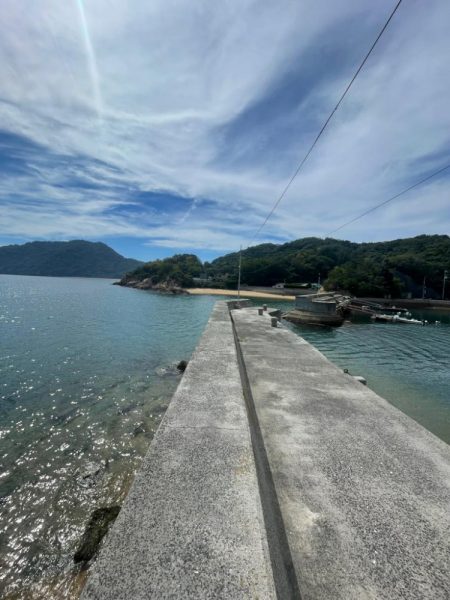 そこそこサイズ