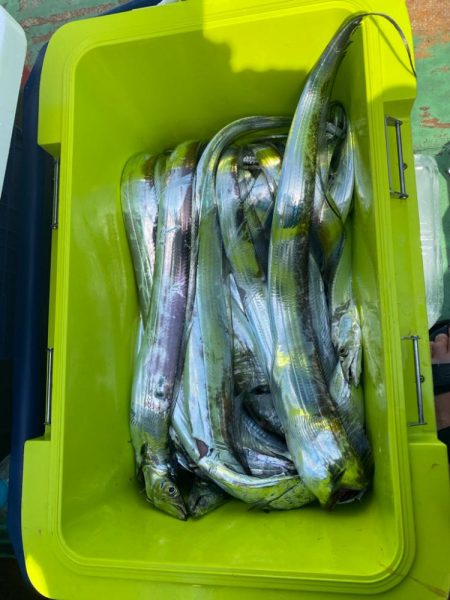 タチウオメーターオーバー