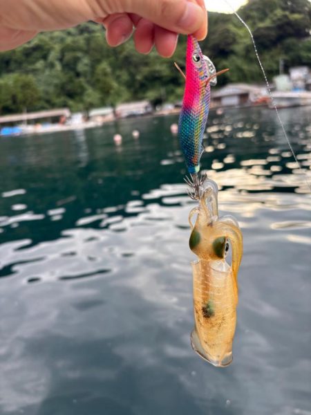 【京都】秋イカ探し