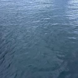 仕事終わりにちょいエギング