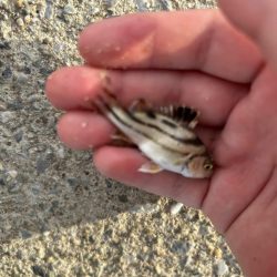 ファミリーフィッシング