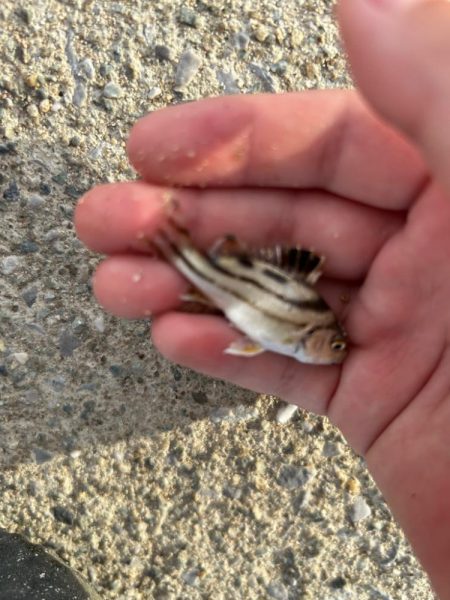 ファミリーフィッシング