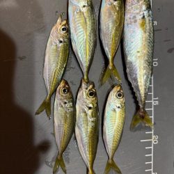 隣にはまさかのYouTuberさん達！？