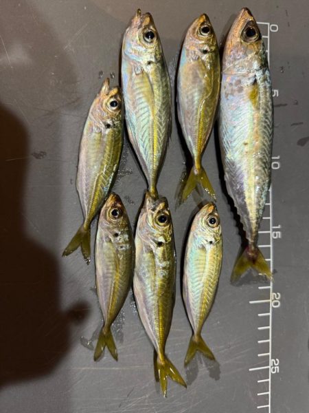 隣にはまさかのYouTuberさん達！？