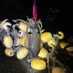 フルムーンに誘われて