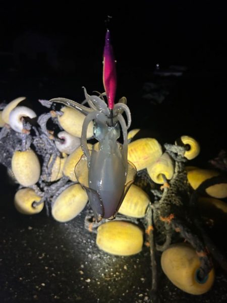 フルムーンに誘われて