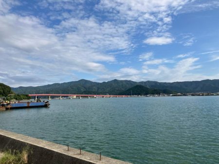 サヨリいっぱい