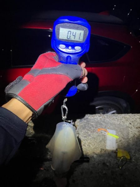 秋🦑連日釣行😊