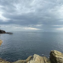 久しぶりのショア青物