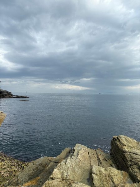 久しぶりのショア青物