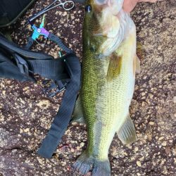 連休最終日も好調！！