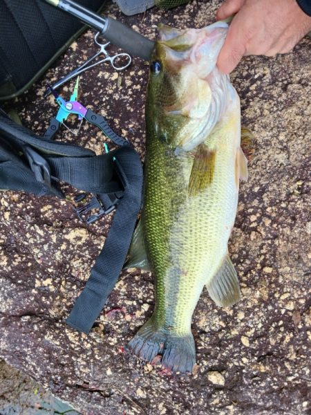 連休最終日も好調！！