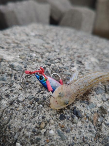 Teamゲッソー調査隊