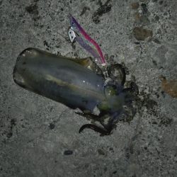 集中して下さい！