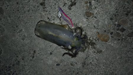 集中して下さい！