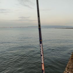 今シーズン初釣行＆初釣果