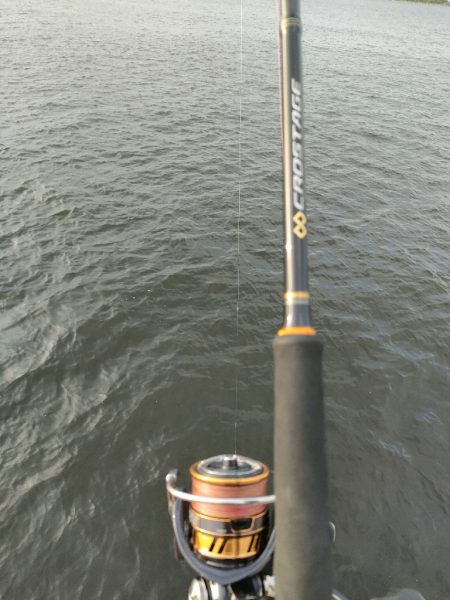 今シーズン2回目釣行はチャリで