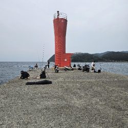 のませ釣りでハマチとシオ