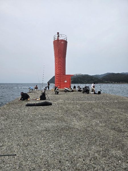 のませ釣りでハマチとシオ