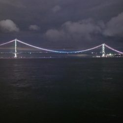 電気ウキ釣り 11