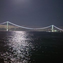 電気ウキ釣り 12