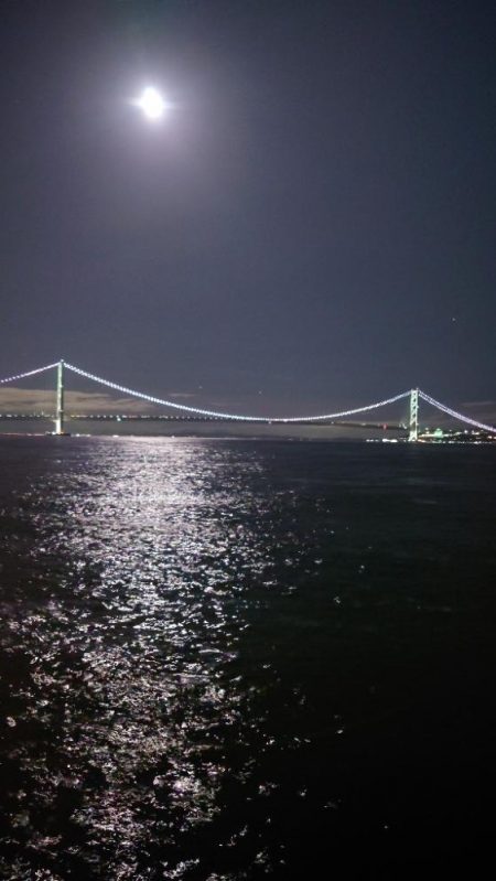 電気ウキ釣り 12