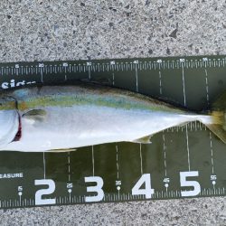 久しぶりの大阪湾