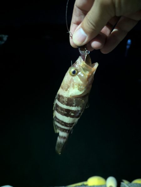 台風後でも濃いのは濁りだけ