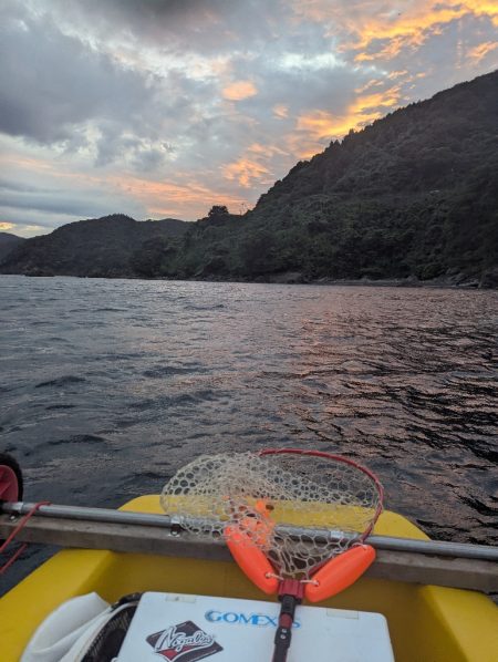 今年はサイズ関係なく深い