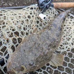 広島チニングイベント「回数杯」参戦！