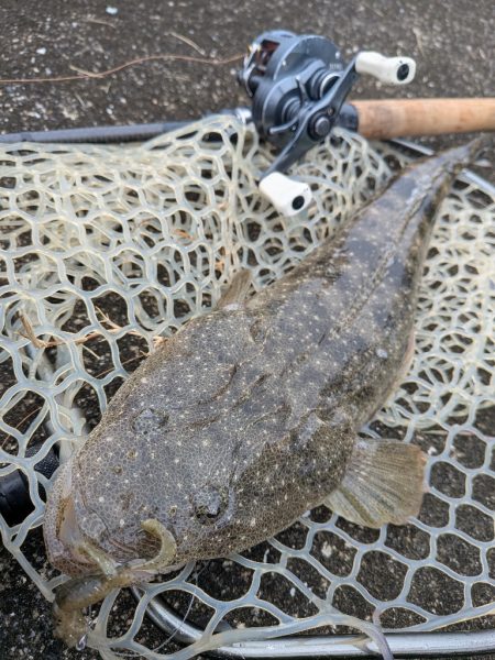 広島チニングイベント「回数杯」参戦！