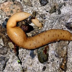 まだサイズが小さい