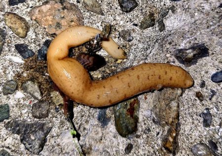 まだサイズが小さい