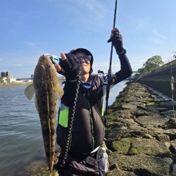 丸1日広島河川チニング