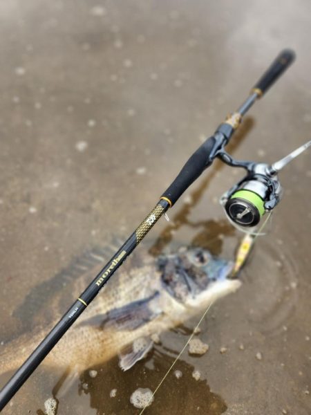 トップチニング