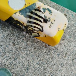 キス釣り、ヘチ釣り