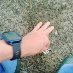 イカリベンジ？