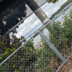 三浦半島でタコ🐙との出会い！