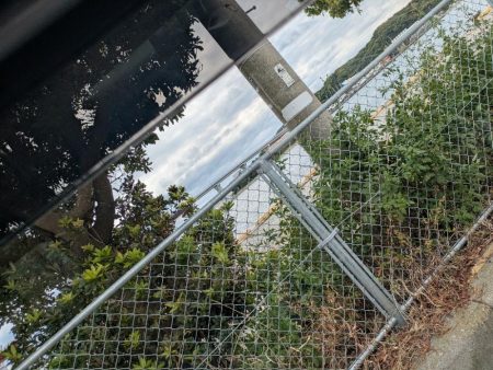 三浦半島でタコ🐙との出会い！