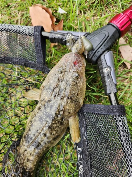 チニングのはずが…