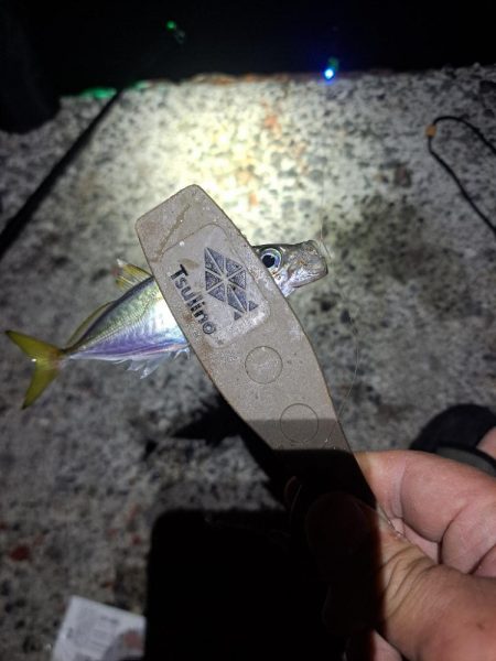 飛ばしサビキとズボ釣りの二刀流