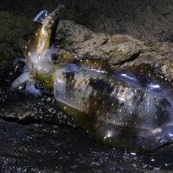 土砂降りを回避