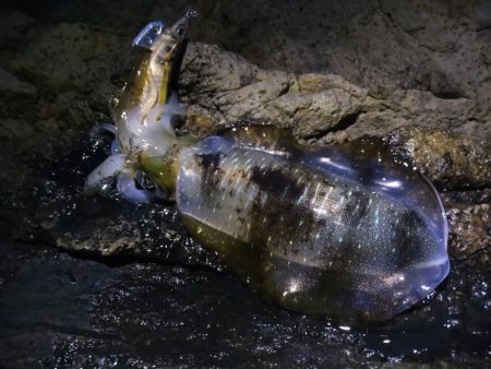 土砂降りを回避