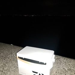 過去最大のタケノコ