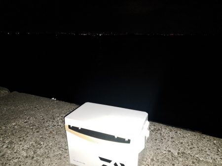 過去最大のタケノコ