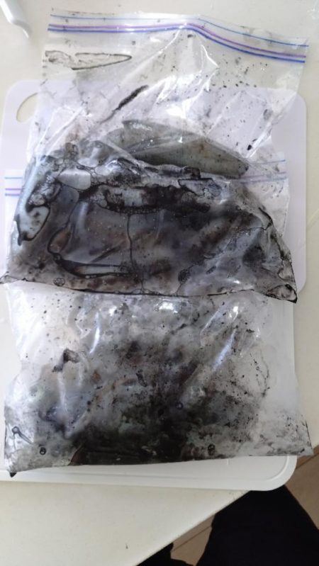 リベンジティップラン！