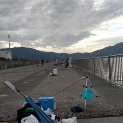 サンバカーニバル